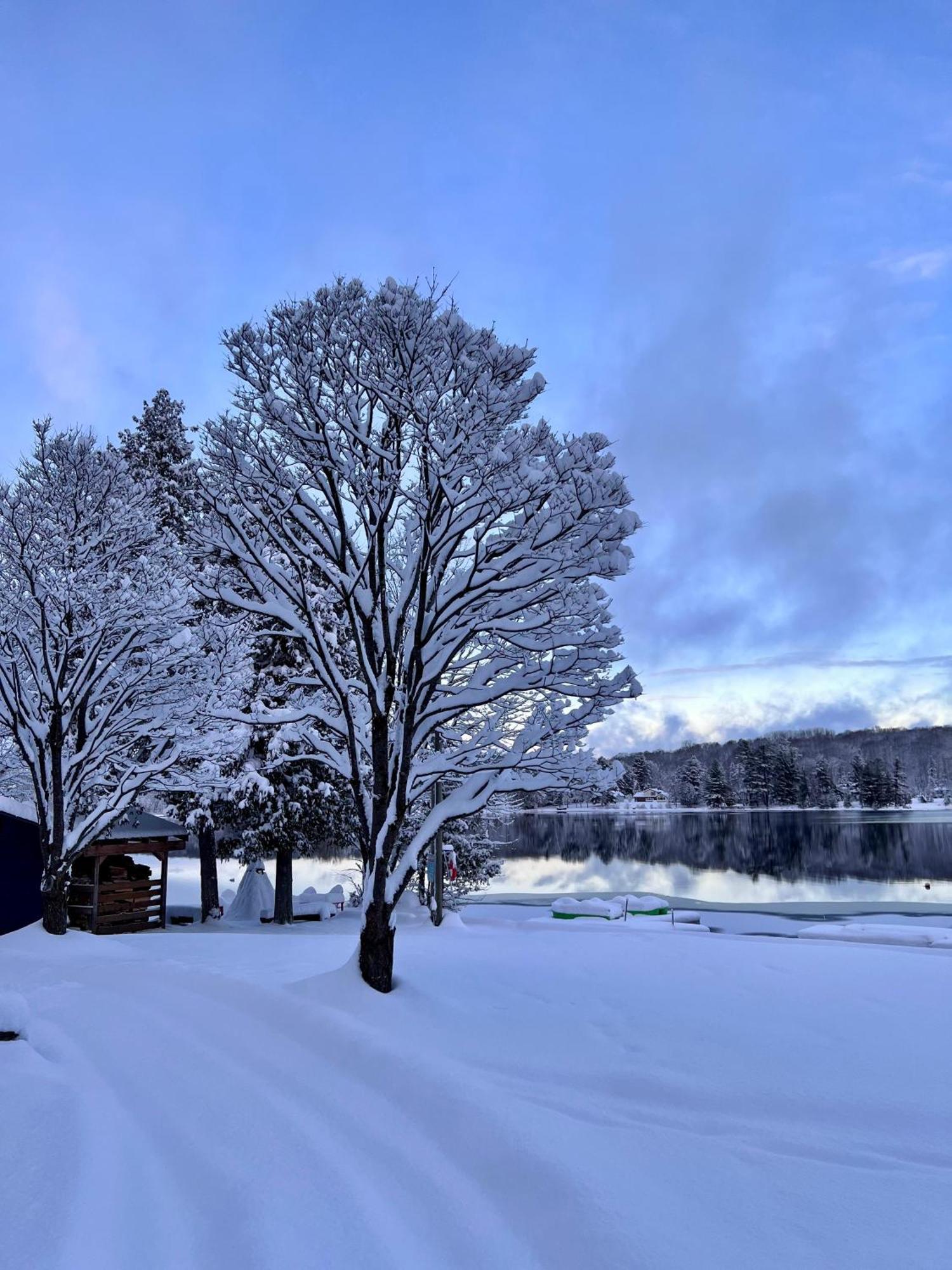 Bonnie View Inn Haliburton Extérieur photo